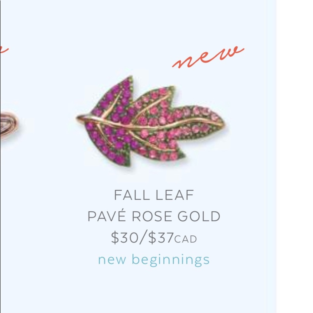 KEEP Collective -Fall Leaf -Pave Rose Gold